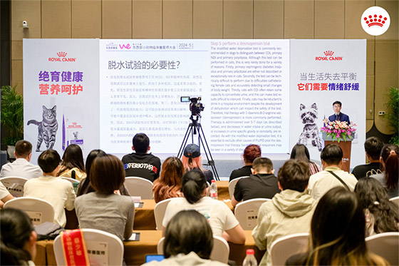 皇家携情绪舒缓新品亮相东西部大会，赋能诊疗行业高质量发展