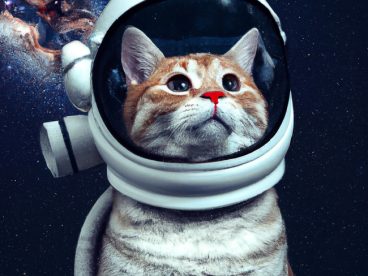 可爱喵星人宇航员图片