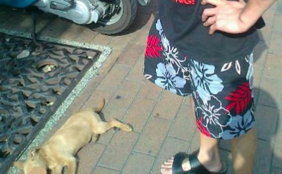 台湾男子徒手虐死幼犬 称“我教训它不关别人的事！”