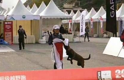 四川越野赛上日本姑娘拿出国旗想披身上，中华田园犬一个举动让人叫好！