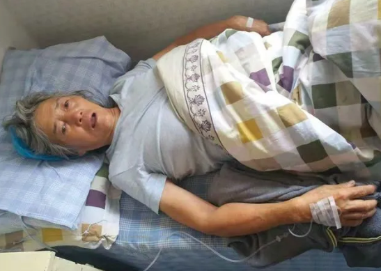 救过数千只狗的7旬老人，如今抱狗求人模样让人泪目