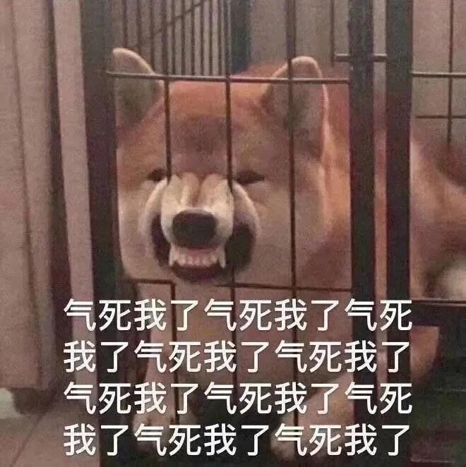 狗咬吕洞宾,不识好人心?狗:这个锅我背够了!