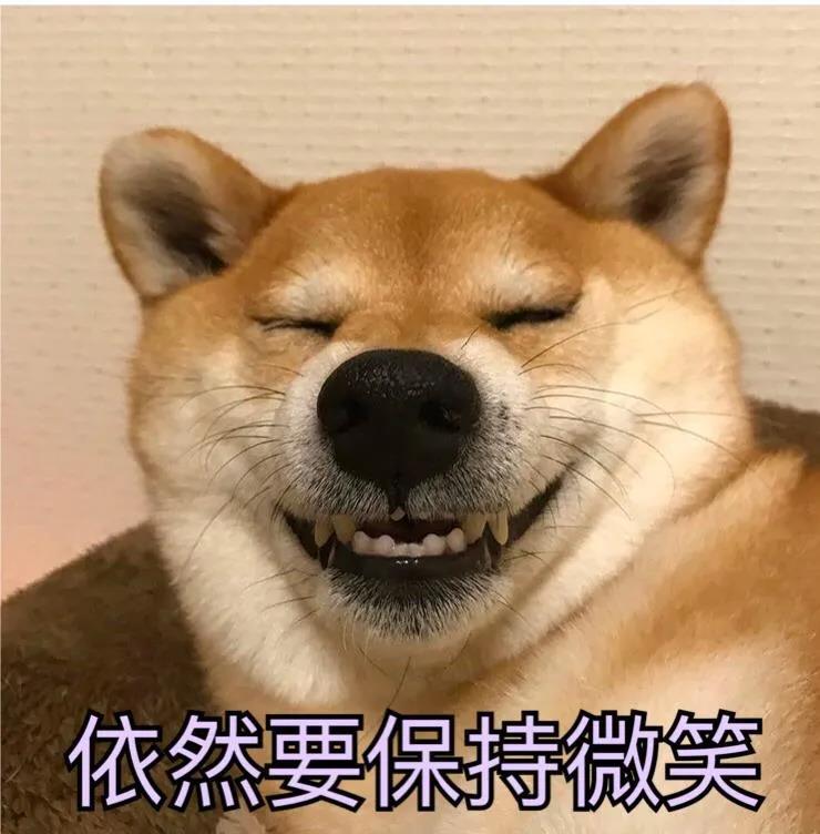 狗咬吕洞宾,不识好人心?狗:这个锅我背够了!