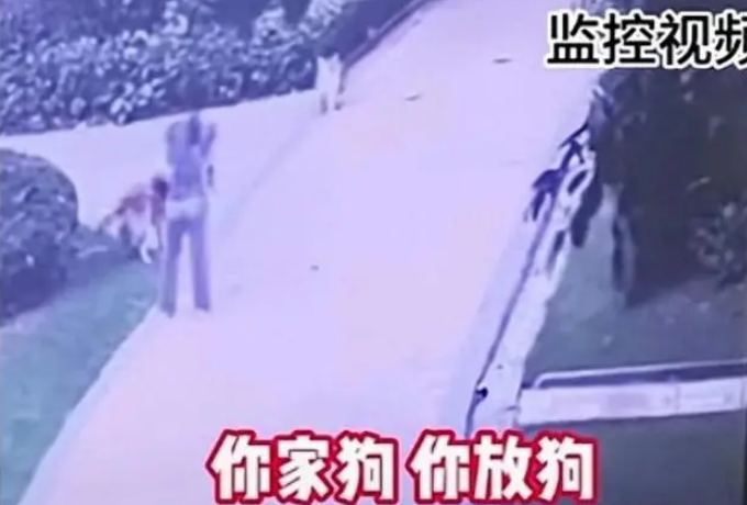 男子遛狗不拴绳致狗被咬，称自己是警察，威胁对方小心点
