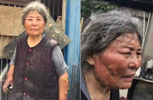 小狗在水中被鳄鱼咬住，主人徒手掰开鳄鱼嘴巴，勇救小狗