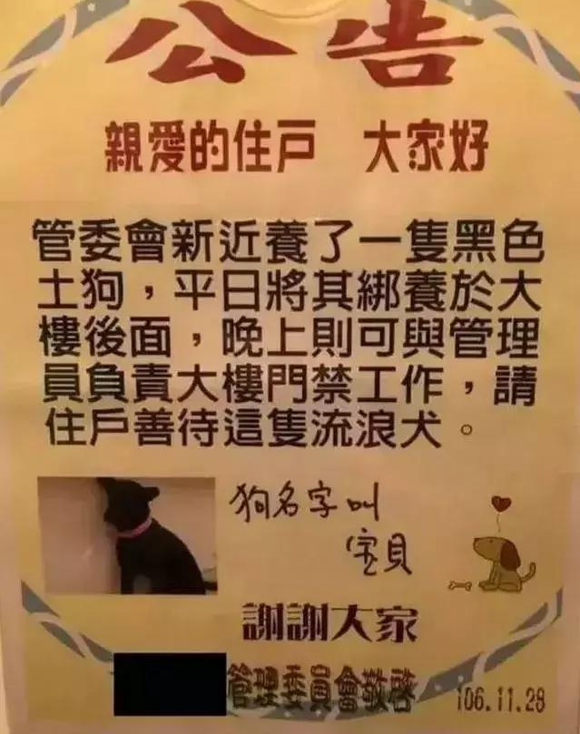 避寒流浪狗躲进小区，物业不但没赶走还给它找了份工作~