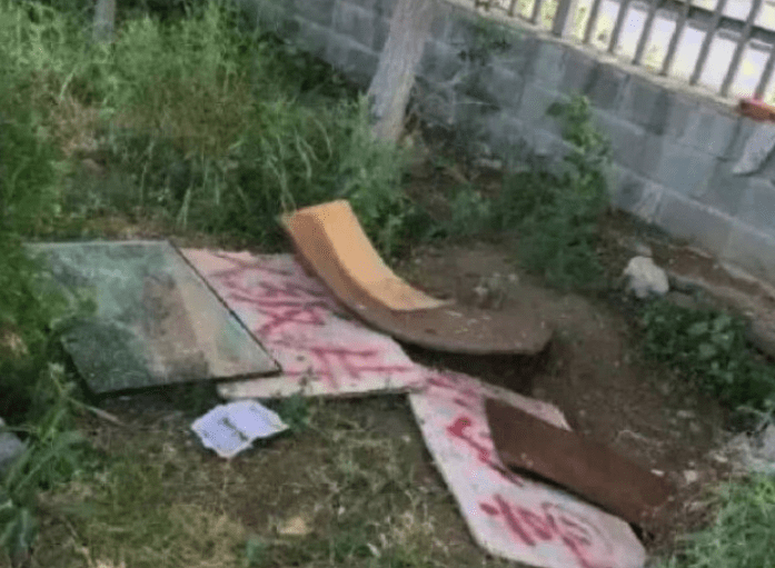 女孩好心给流浪狗搭建遮雨棚，然而第二天来一看，却气的当场大骂