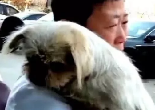 大街上流浪狗突然扑向大姐，原以为是想咬人，直到狗狗流出了眼泪