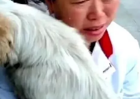大街上流浪狗突然扑向大姐，原以为是想咬人，直到狗狗流出了眼泪