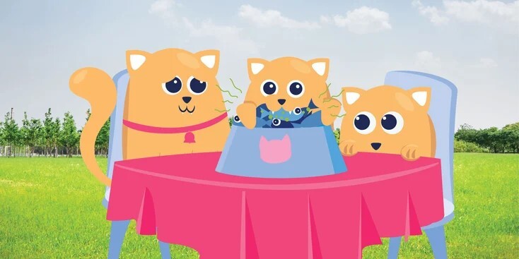 如何防止猫病传播？深度解析