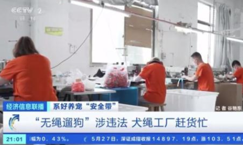 最新《动物防疫法》带火犬绳热销！千亿宠物市场，都是“铲屎官”的功劳