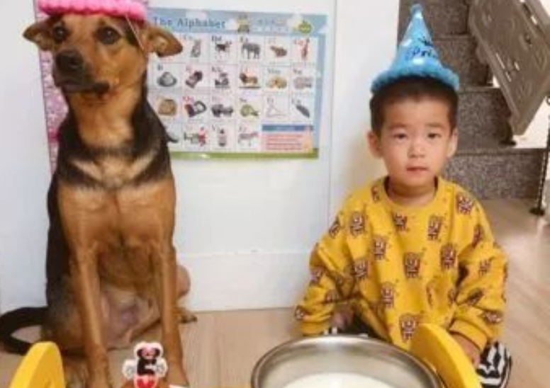 爆笑！戏精狗子和小主人玩游戏时听说自己“没救了”瞳孔瞬间放大