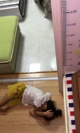 狗狗眼见小主人在地面上睡觉了，接下去的行为，令人内心一阵暖