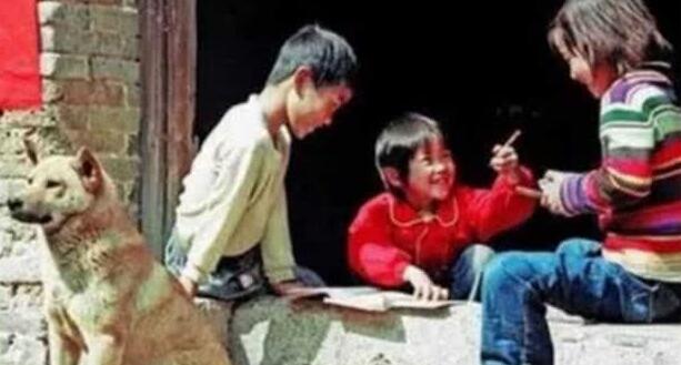 乡村儿时这类狗还记得吗？你们那里叫什么狗？