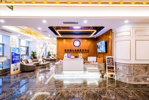 上海亚宠展宠爱国际展厅备受关注,高端宠物医疗服务成吸睛亮点