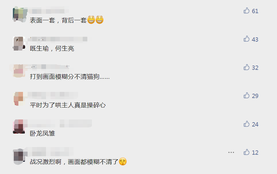 网友刚出门，家里的狗和猫立马打起来：不演了！！