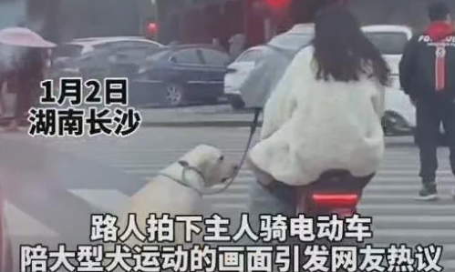 主人骑电动车溜大型犬，拍摄者：“感觉特别暖心”