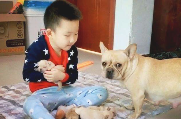狗崽子和熊孩子打架斗殴，彼此的父母都很淡定从容啊，过后均称误解