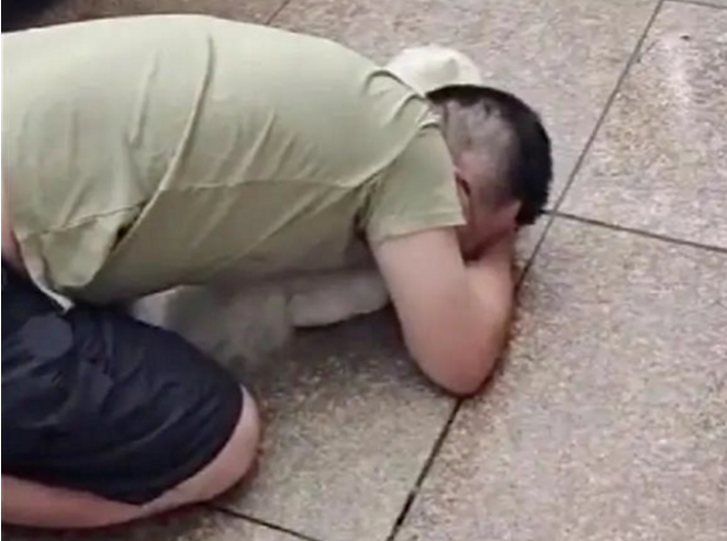 宠物狗被撞死，男主人用头碰车，女主人哭晕