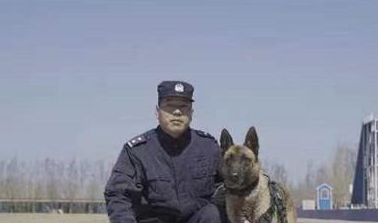 “青铜”变“汪者”！冰城警犬“太极”“嗨畏”被评为功勋犬