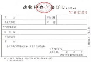 宠物健康证明怎么办理，宠物的健康证在哪里办