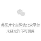 狗子长得很像“喝醉了酒”，网友：这很明显是喝高了！