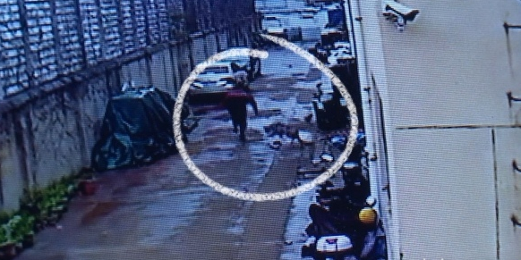 男子被金毛犬追赶摔倒骨折 狗主人是否该承担责任？
