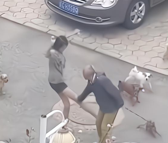 女子遛多只狗不栓绳,竟还脱下拖鞋,人狗一起围攻遛狗大爷