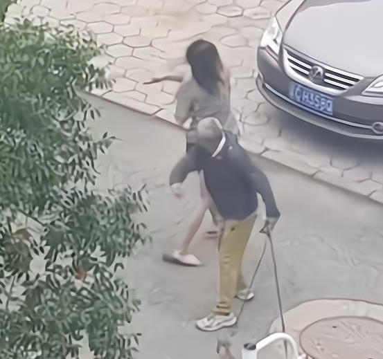 女子遛多只狗不栓绳,竟还脱下拖鞋,人狗一起围攻遛狗大爷