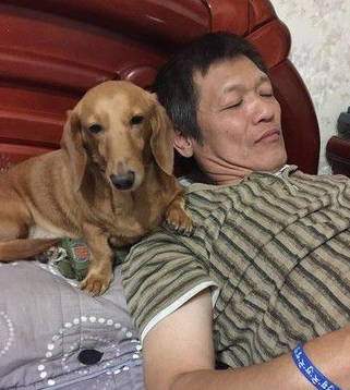 腊肠犬曾被关在阳台 如今变爸妈亲生的