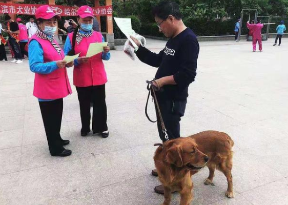 狗出门是否要戴嘴套？听他们都咋说！