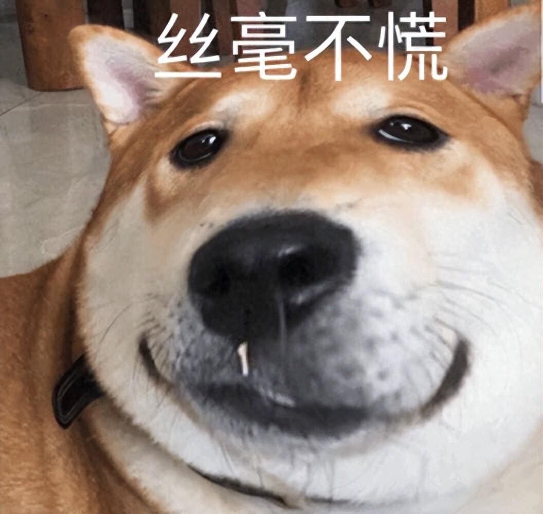狗狗不舒服的 7 个表现，出现这些动作药注意了！