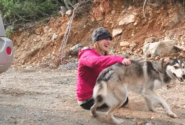 哈士奇在山林失踪，消防人员想了个绝技，它自身就跑回家了，傻狗