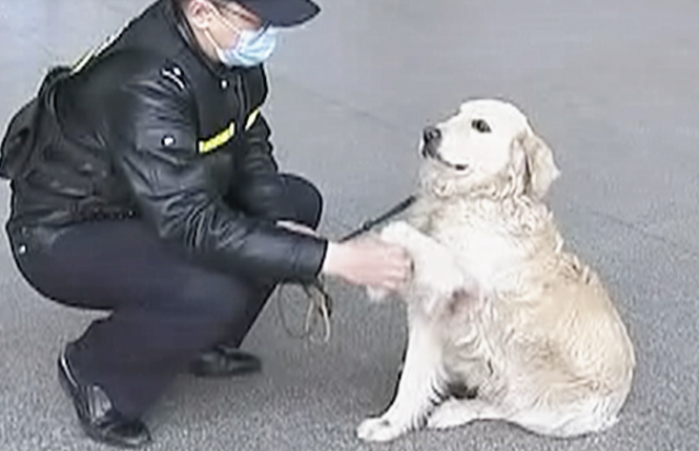 巡逻犬发现1个小孩在哭泣，民警了解后忍不住赞叹：也太厉害了吧