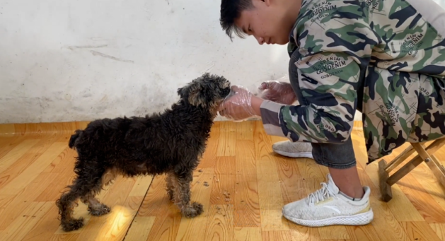 被主人遗弃在垃圾桶的狗狗，浑身散发熏人臭味，希望这个世间多点爱