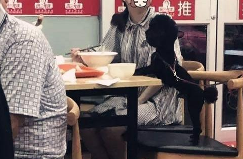 女子和狗狗同用一个碗用餐，许多顾客大为光火！