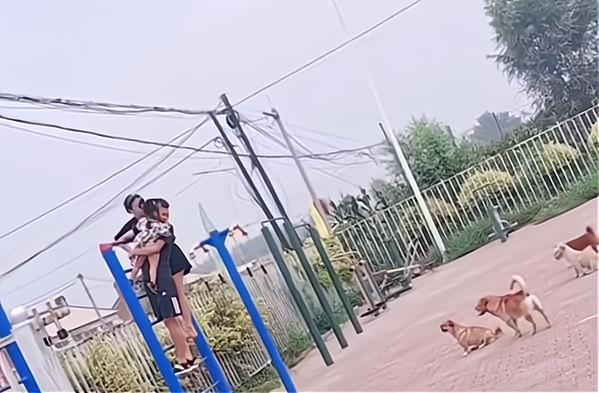 辽宁沈阳一家人被狗围攻，爬上器材不敢下来，单手抱娃太可怜