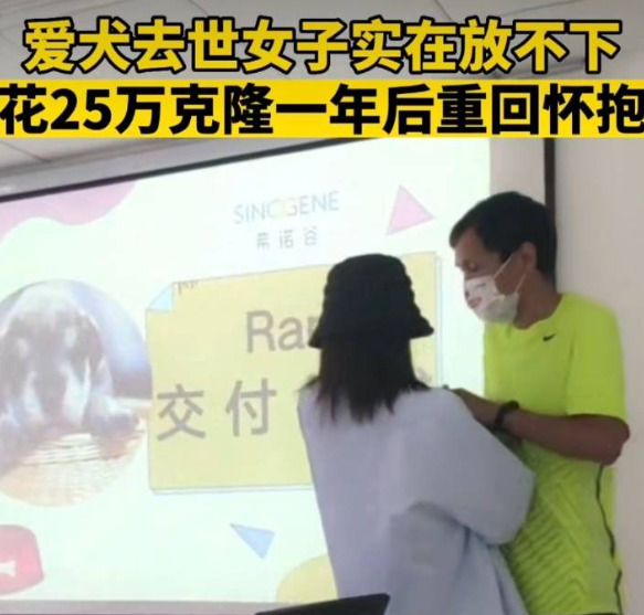 女子花25万克隆去世宠物狗引热议 实在放不下：克隆动物你能接受？