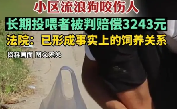 陕西流浪狗咬伤居民，长期投喂者被判赔偿3000元，网友：善没善报