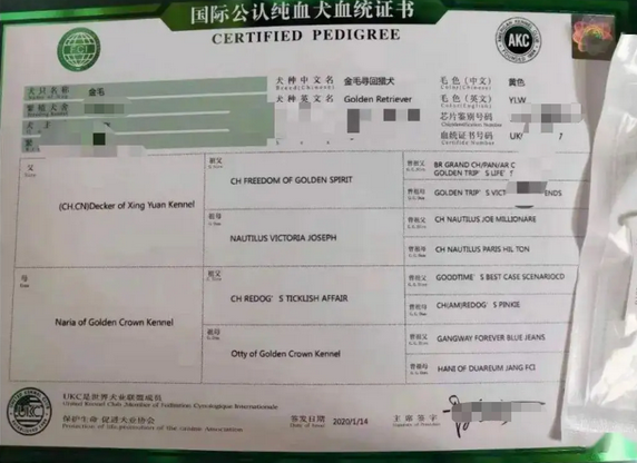救命呀!我家狗子是大禽兽!它…它竟然睡了它亲妈…...