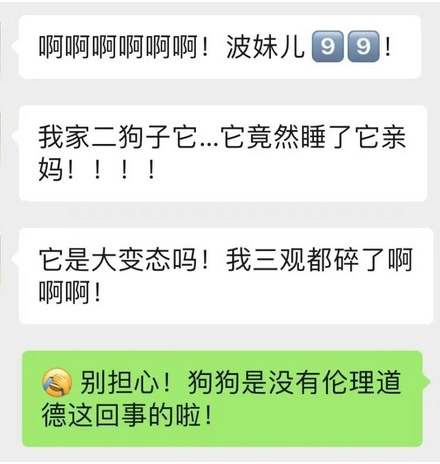 救命呀！我家狗子是大禽兽！它…它竟然睡了它亲妈……