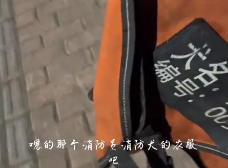 女子遛狗捡到消防犬,巧用自家狗为“诱饵”送回