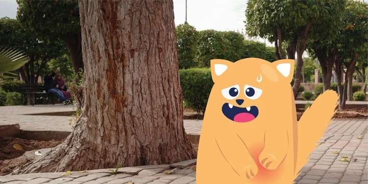 猫的肝病：病因、症状和治疗