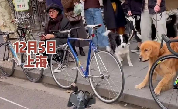 上海一男子街头遛机器狗，搞得真二哈都懵圈了