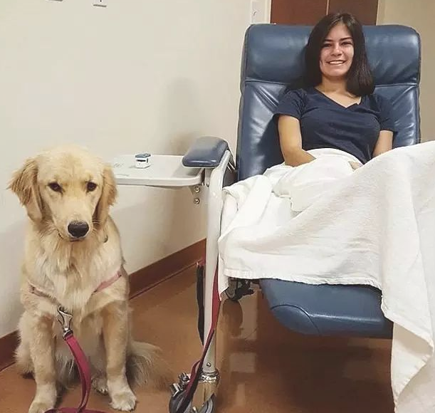 金毛犬照料生病主人家体贴入微，洗衣服脱袜子，无所不能