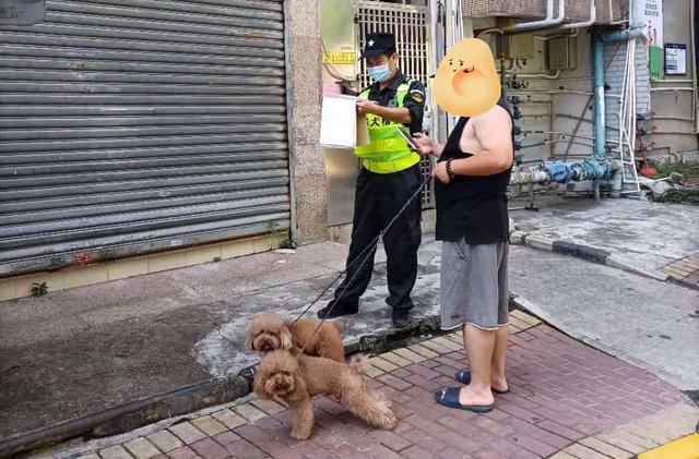 举报有奖！这些不文明养犬行为将被重点整治！