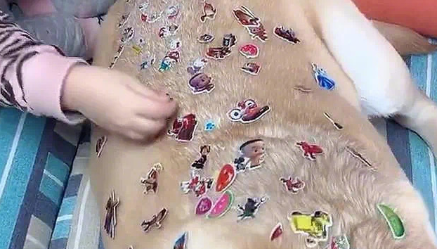 狗狗一脸不情愿,看过眼背部却被逗笑了:闺女也太过分了