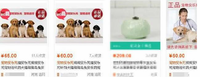 狗安乐死后悔了 | 淘宝卖劣质“宠物安乐死”？狗狗难得善终，主人后悔不已