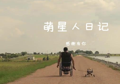 暖心!失去双腿的狗狗和主人,互相鼓励借助轮椅重获新生
