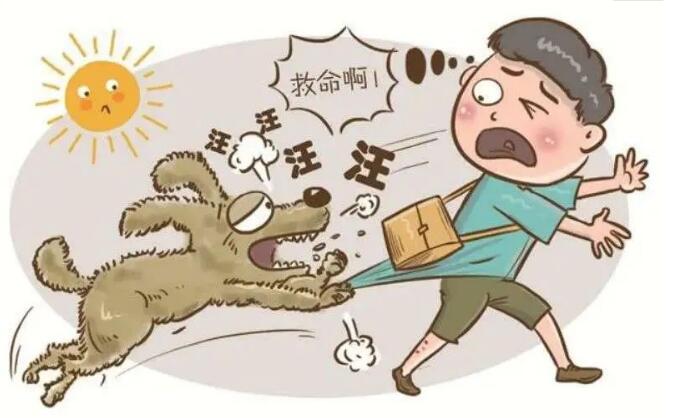 注意！铲屎官别忽视了，这都是狗狗得“狂犬病”的征兆